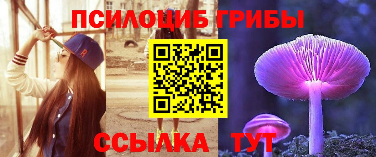 Псилоцибиновые грибы прущие грибы Орёл